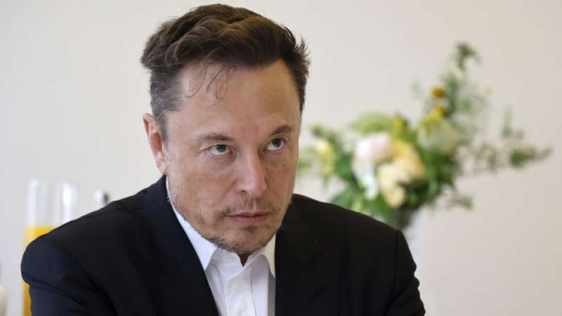 Маск раскритиковал главу конституционного суда Румынии